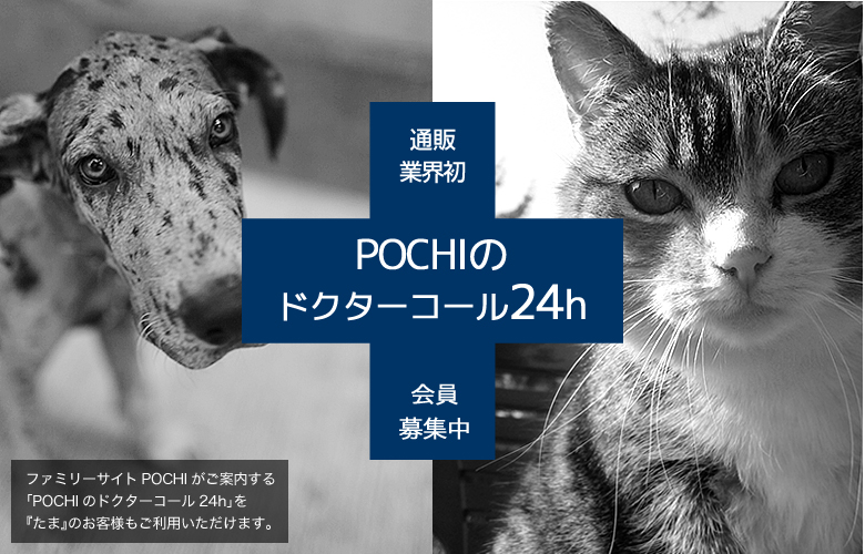 POCHIのドクターコール24h