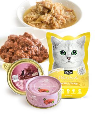 tama チキン&ターキー ディナーセット