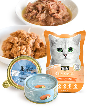 tama フィッシュ ディナーセット