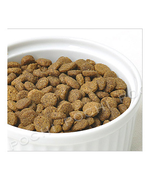 アルモネイチャー CAT ホリスティッククロケット フレッシュターキー