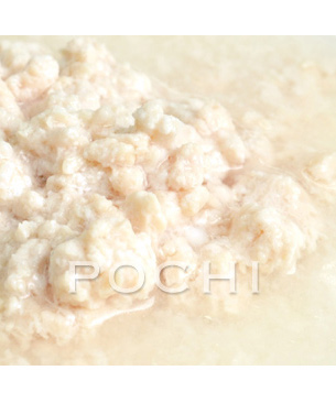 POCHI Marche 鶏の白スープ　80g（猫用）