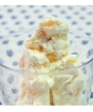 ヨーグルトを使ったアイスクリーム｜プレミアムキャットフード専門店