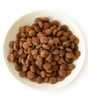 アニモンダ CAT インテグラプロテクト アレルギーケア ドライフード