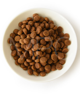 アニモンダ CAT インテグラプロテクト 糖尿ケア ドライフード