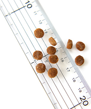 アニモンダ CAT インテグラプロテクト 糖尿ケア ドライフード