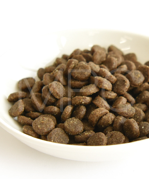 アートゥー CAT サーモン