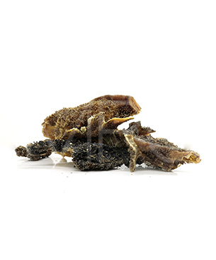 バックトゥベーシックス ハレマエ ベニソン・グリーントライプ 70g