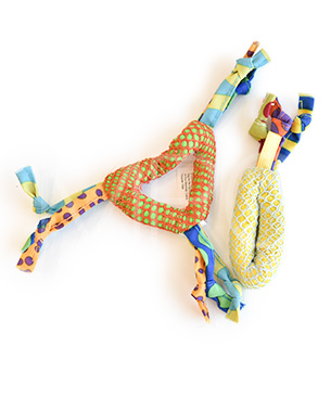 デンタル・ヘルス・チューズ 2個セット【数量限定品】