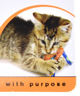 デンタル・ヘルス・チューズ 2個セット【数量限定品】