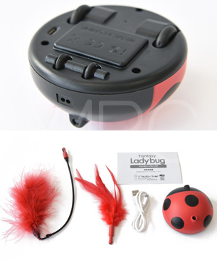 ファンタジー レディーバグ