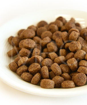 ハッピーキャット ヤング ジュニア ファームポルトリー (平飼いチキン)