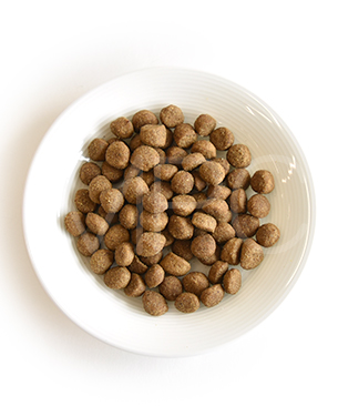 ハッピーキャット ステアライズド