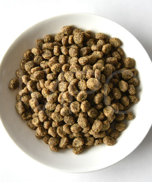 ナチュラルバランス CAT サーモン&チックピーフォーミュラ