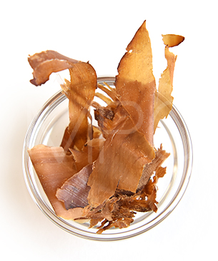 カントリーロード ふわふわスモーキーホース