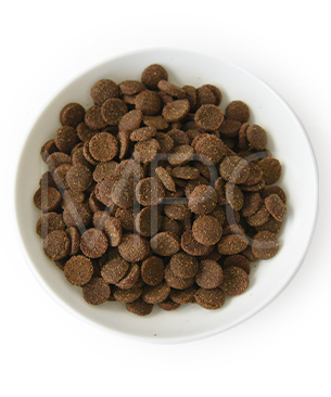 ニュートライプ CAT サーモン＆チキン with グリーントライプ