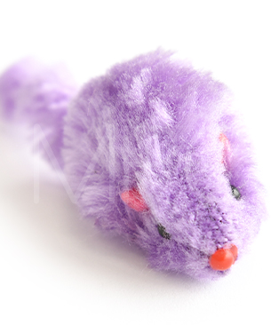 カラーマウス 3P