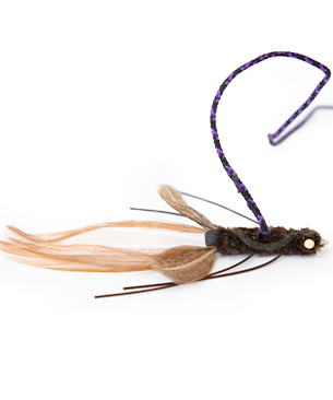 neko flies ネコフライアー　クモ