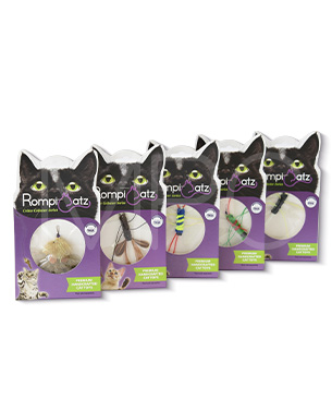 neko flies ネコフライアー　クモ