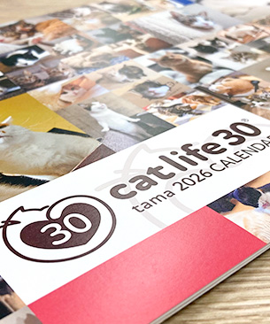 tama カレンダー