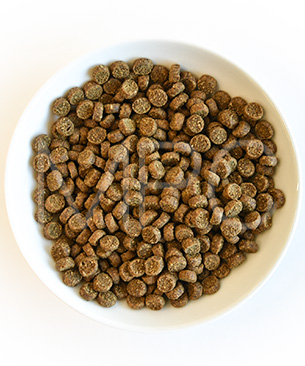 ウェルネス コア (高たんぱく質・穀物不使用) 体重管理用 (1歳以上) サーモン