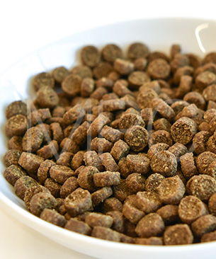 ウェルネス コア (高たんぱく質・穀物不使用) 体重管理用 (1歳以上) サーモン