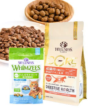 ウェルネス コア ダイジェスティブヘルス成猫用(1歳以上)骨抜きチキン＆米 400gセット