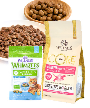 ウェルネス コア ダイジェスティブヘルス成猫用(1歳以上)サーモン＆米 400gセット