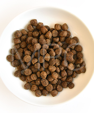 アーガイルディッシュ CAT ワトルキャット