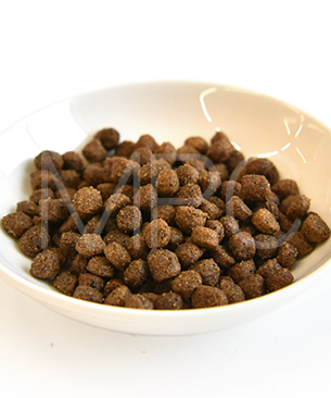 アーガイルディッシュ CAT ワトルキャット