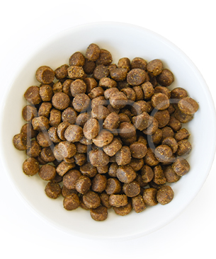 アルモネイチャー CAT ヘアボールコントロール フレッシュサーモン