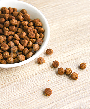 アニモンダ CAT カーニー ドライ シニア猫用 鶏・牛