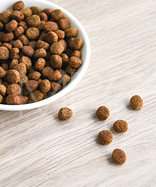 アニモンダ CAT カーニー ドライ 避妊去勢猫用 鶏・七面鳥