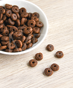 アニモンダ CAT カーニー ドライ 大型猫用 鶏・サーモン