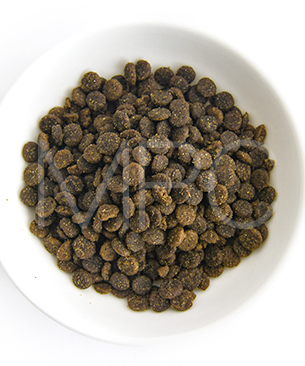 バックトゥベーシックス キア オラ CAT キャットフード ケージフリーチキン