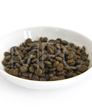 バックトゥベーシックス キア オラ CAT キャットフード ケージフリーチキン