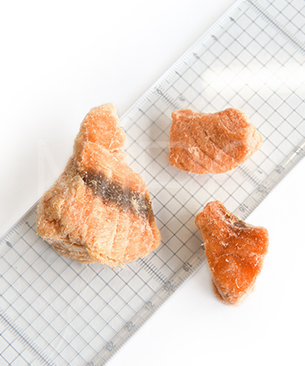 ベイリーコー CAT フリーズドライ キングサーモン 70g