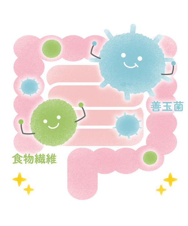 tama 総合栄養食 チキン アソートセット