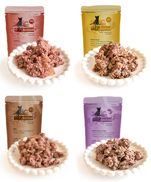 キャッツファインフード【数量限定商品】クラシック アソートセット 85g 10パウチセット