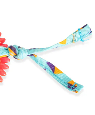 ペットステージ【数量限定品】キティー･チュー･ホイール