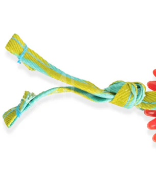 ペットステージ【数量限定品】キティー･チュー･ホイール