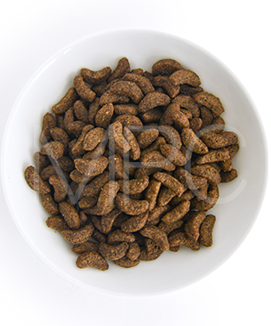 フォルツァ10 CAT デイリープロ アダルトフィッシュ