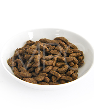 フォルツァ10 CAT デイリープロ アダルトフィッシュ