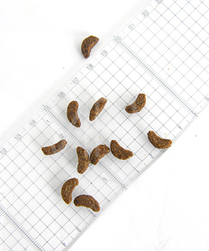 フォルツァ10 CAT デイリープロ アダルトフィッシュ