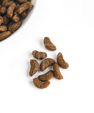 フォルツァ10 CAT デイリープロ アダルトフィッシュ