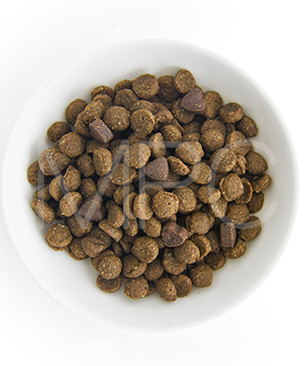 フォルツァ10 CAT インスティナルアクティブ（胃腸ケア療法食）