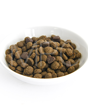 フォルツァ10 CAT インスティナルアクティブ（胃腸ケア療法食）