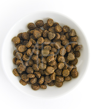 フォルツァ10 CAT ウリナリーアクティブ（泌尿器ケア療法食）