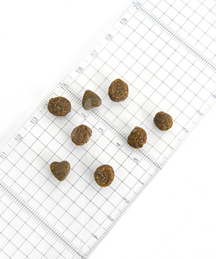 フォルツァ10 CAT ウリナリーアクティブ（泌尿器ケア療法食）