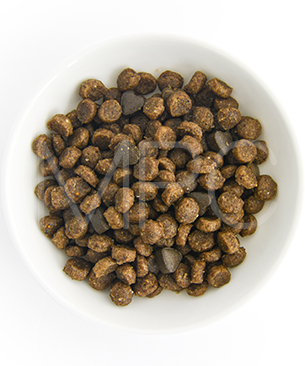 フォルツァ10 CAT リナールアクティブ（腎臓ケア療法食）