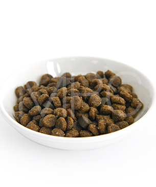 フォルツァ10 CAT リナールアクティブ（腎臓ケア療法食）